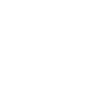 Recognition icon