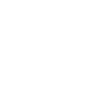 Audits icon