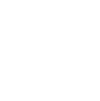 History icon