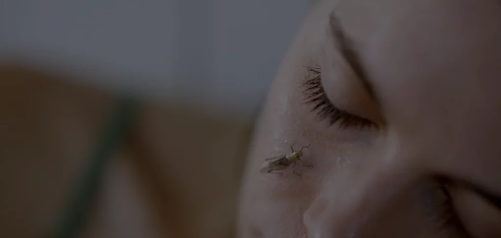 The Kiss of the Grasshopper